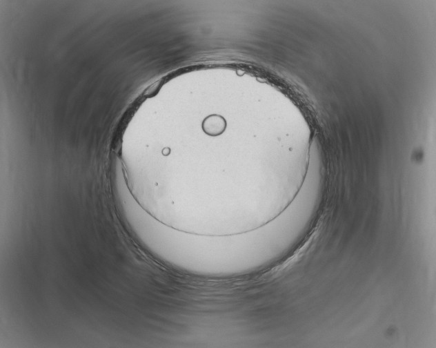 X0000116311457201001111128