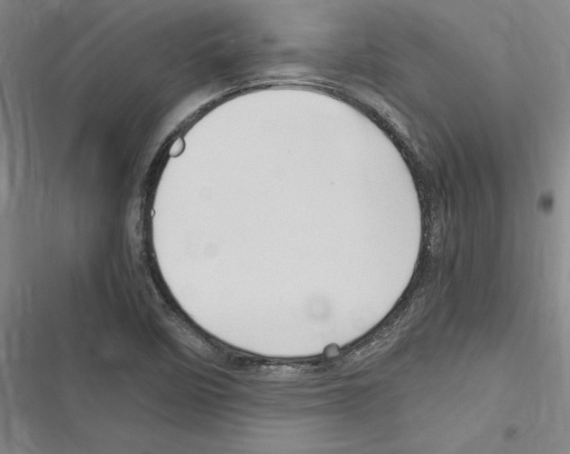 X0000116311458201001111128