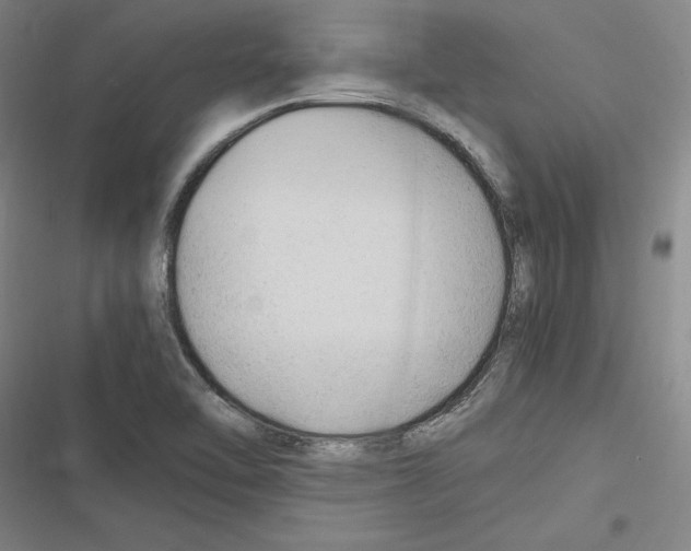 X0000116311462201001111128