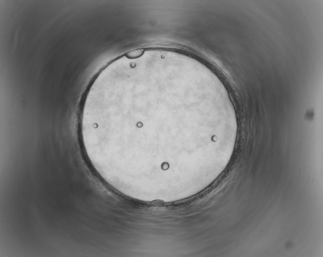 X0000116311463201001111128