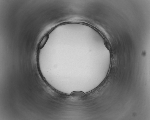 X0000116311464201001111128