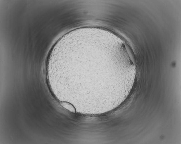 X0000116311467201001111128