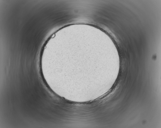 X0000116311469201001111128