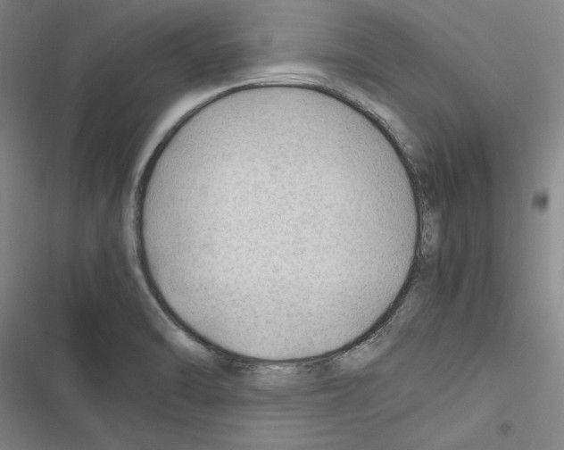 X0000116311470201001111128