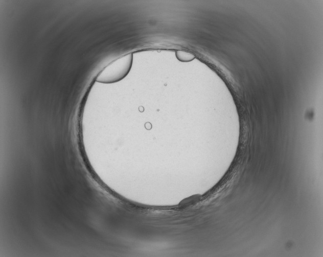 X0000116311471201001111128