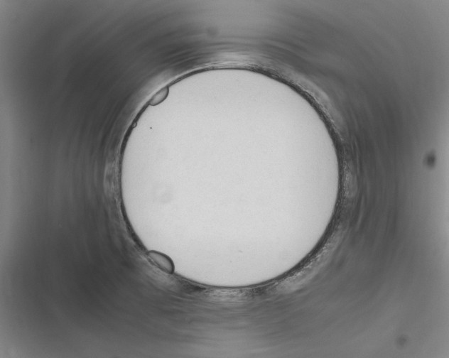 X0000116311473201001111128