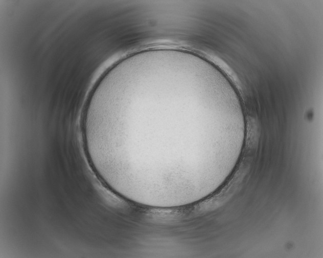 X0000116311474201001111128