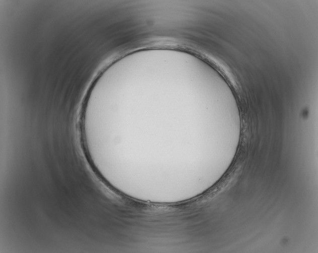 X0000116311475201001111128