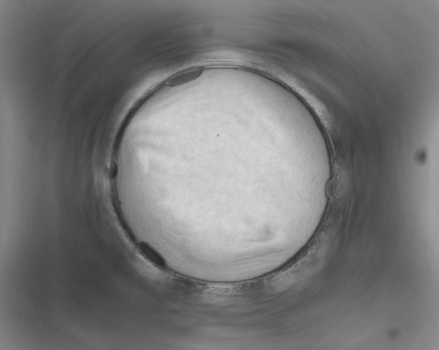 X0000116311477201001111128