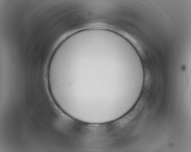 X0000116311478201001111128