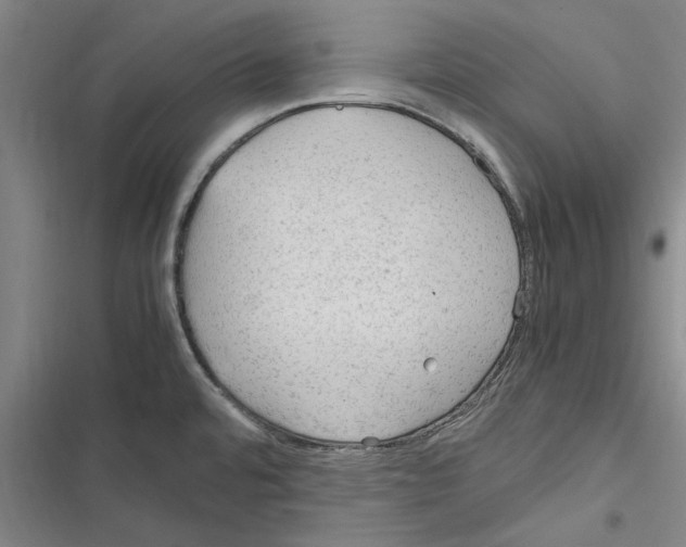 X0000116311480201001111128