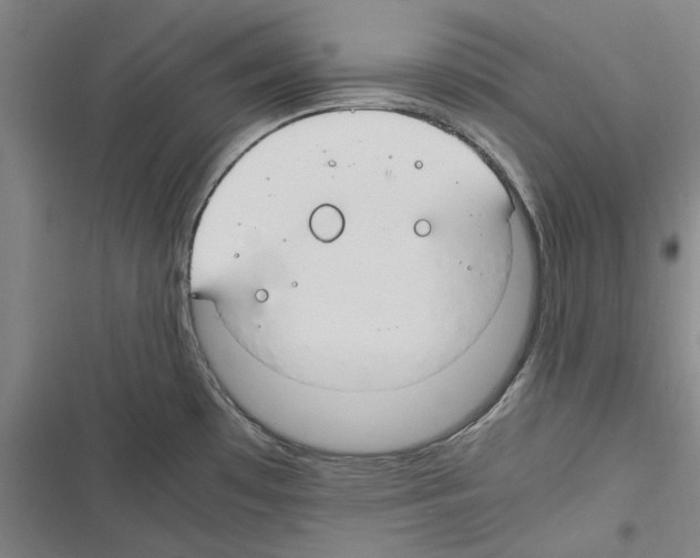 X0000116311481201001111128