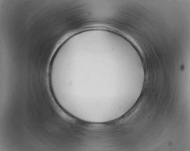 X0000116311482201001111128