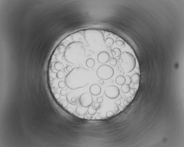 X0000116311483201001111128