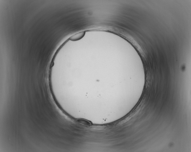 X0000116311484201001111128