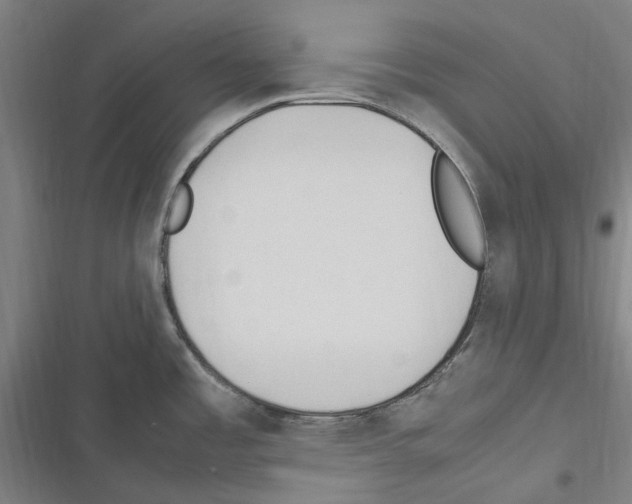 X0000116311485201001111128