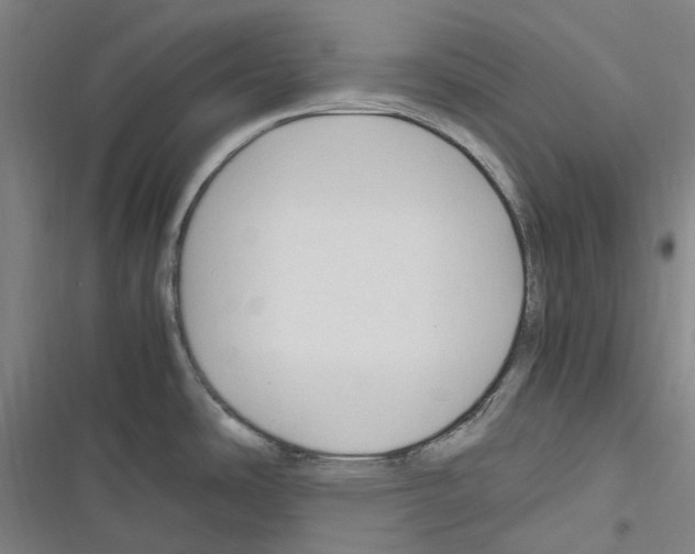 X0000116311486201001111128