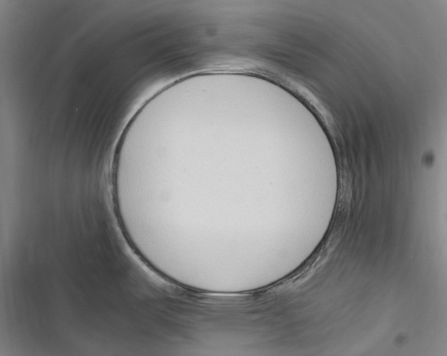 X0000116311487201001111128