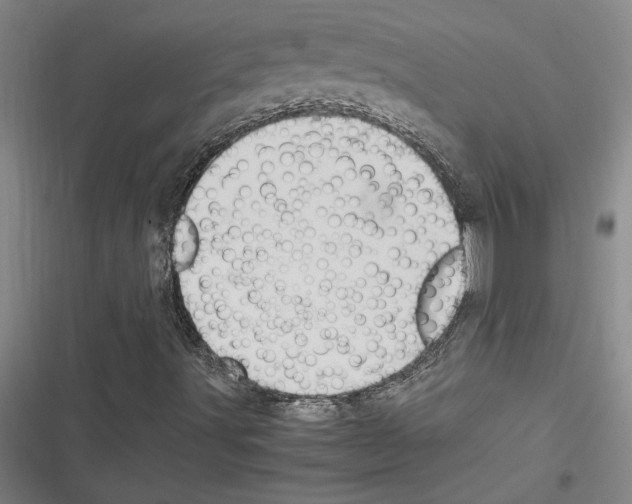 X0000116311491201001111127