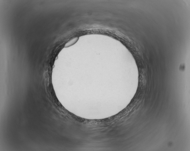 X0000116311493201001111127