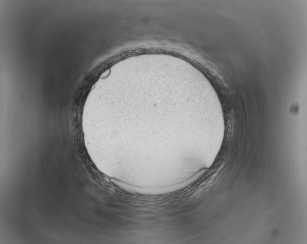 X0000116311494201001111127