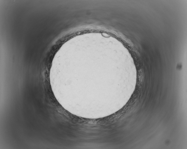 X0000116311495201001111127