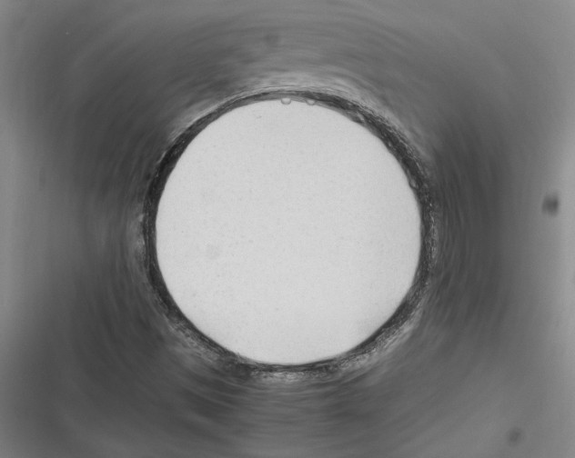 X0000116311497201001111127