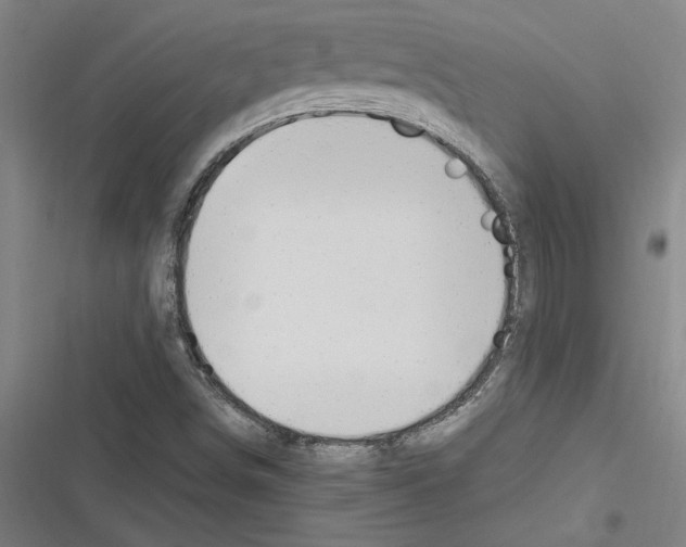 X0000116311498201001111127