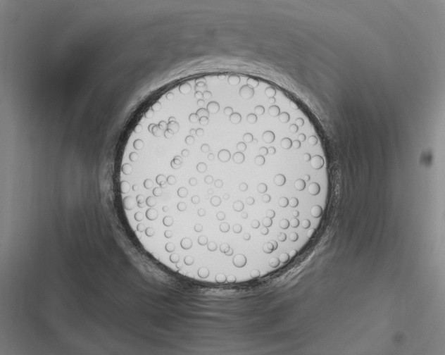 X0000116311499201001111127