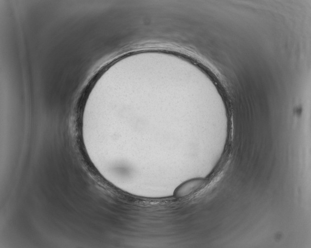 X0000116311501201001111127