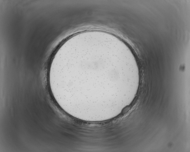 X0000116311503201001111127