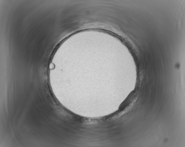 X0000116311505201001111127