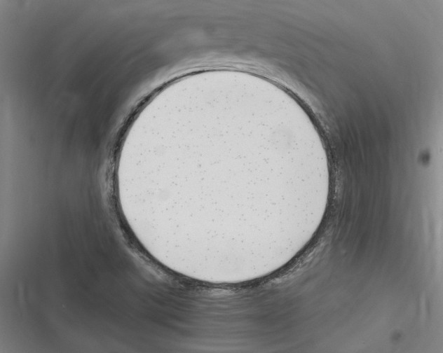 X0000116311507201001111127