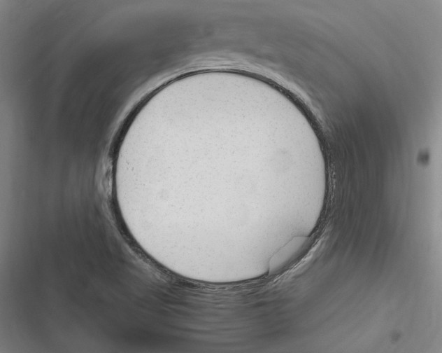 X0000116311509201001111127