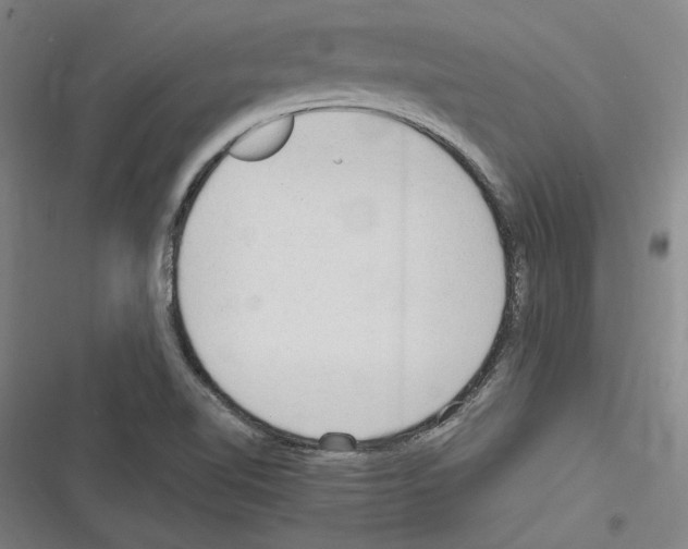 X0000116311510201001111127