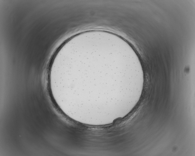 X0000116311511201001111127