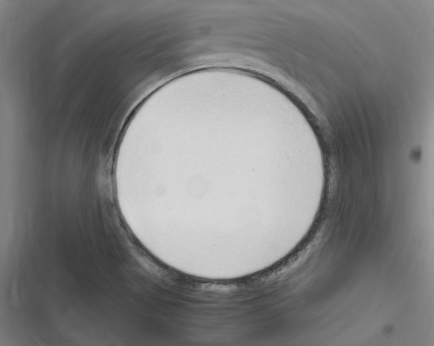 X0000116311513201001111127