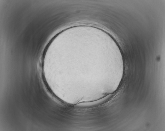 X0000116311515201001111127