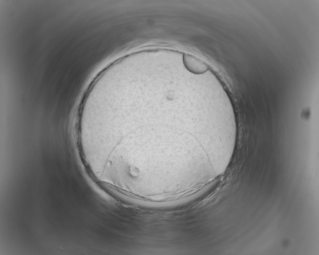 X0000116311519201001111127