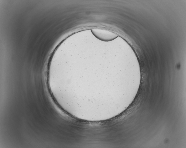 X0000116311523201001111128