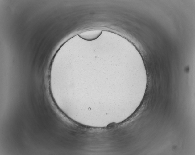 X0000116311526201001111128