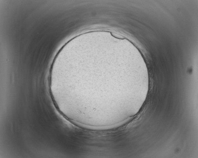 X0000116311527201001111128