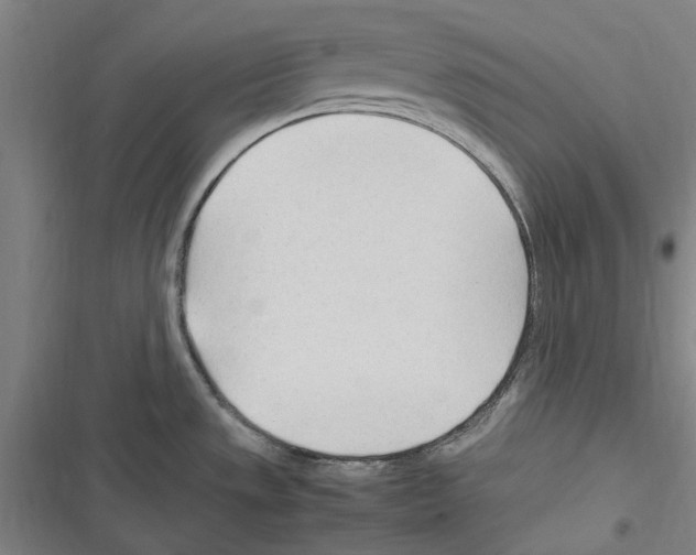 X0000116311533201001111128