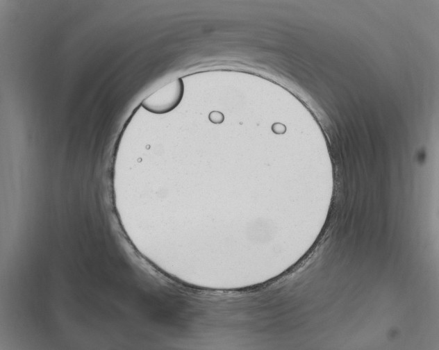 X0000116311534201001111128