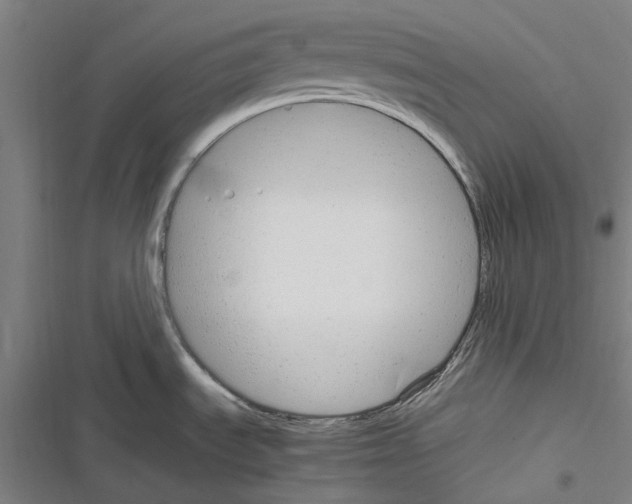 X0000116311535201001111128