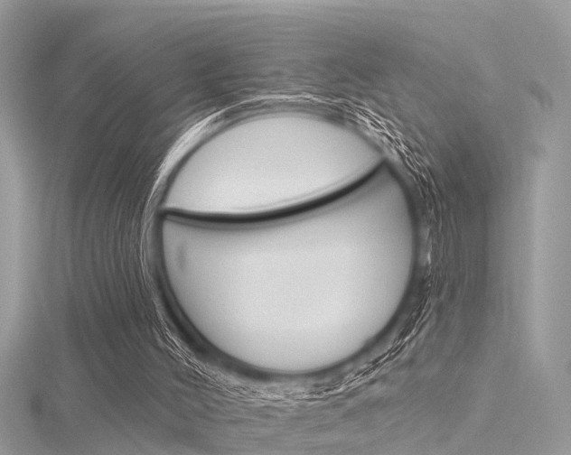 X0000116320004200912010954