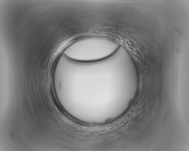 X0000116320005200912010954