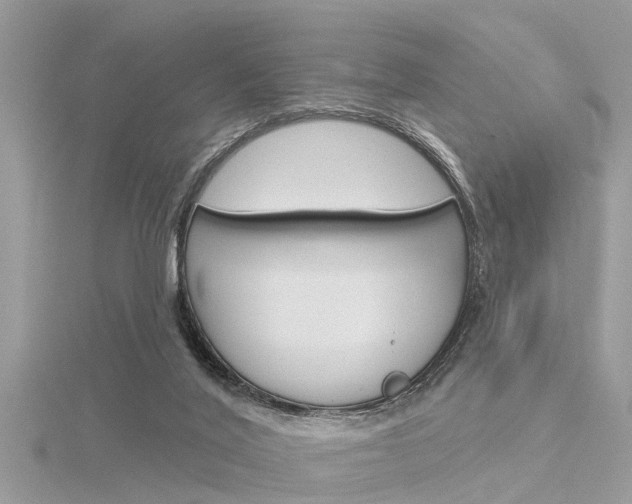 X0000116320020200912010953