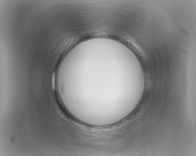 X0000116320022200912010953