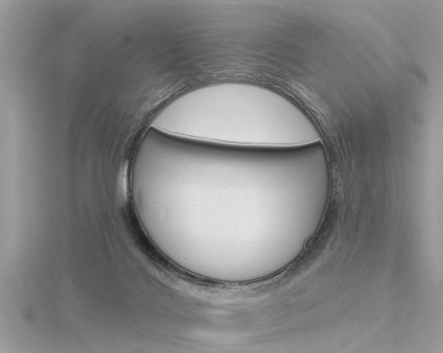 X0000116320028200912010953